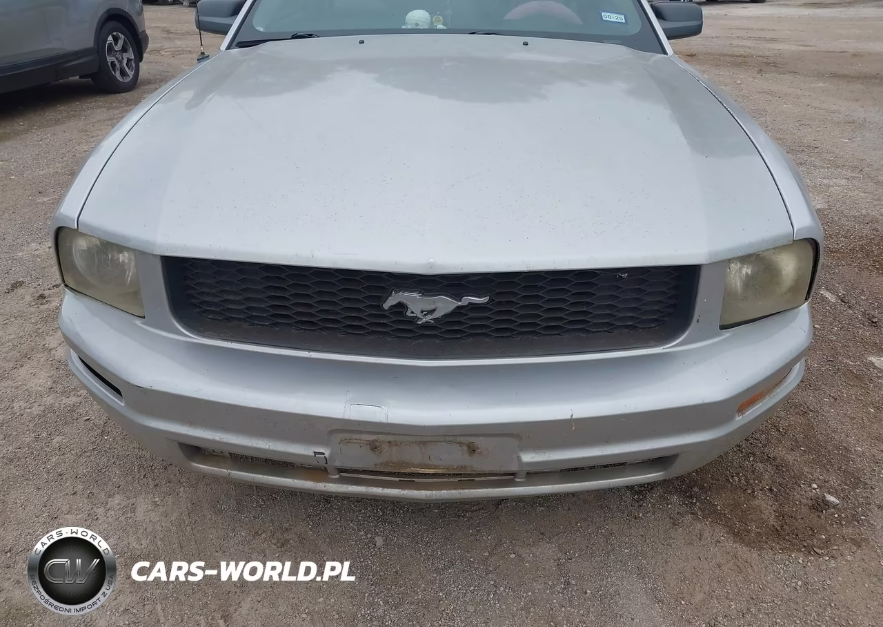 2008 Ford Mustang V6 Deluxe VIN:1ZVHT80N585169527 - 6
