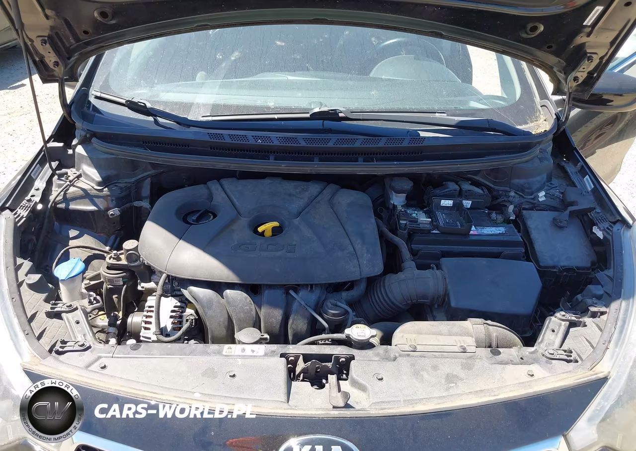 2015 Kia Forte Ex VIN:KNAFX5A8XF5300290 - 10