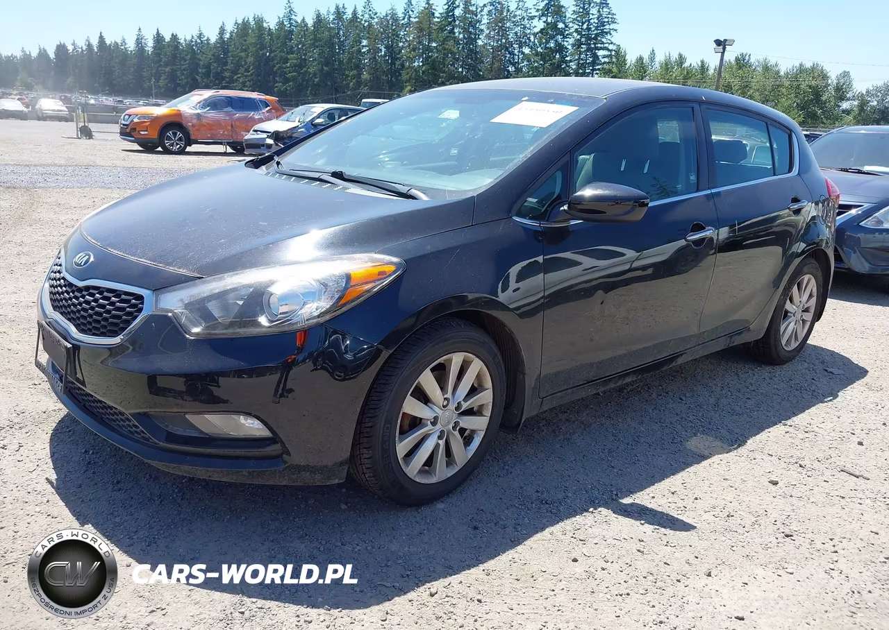 2015 Kia Forte Ex VIN:KNAFX5A8XF5300290 - 2