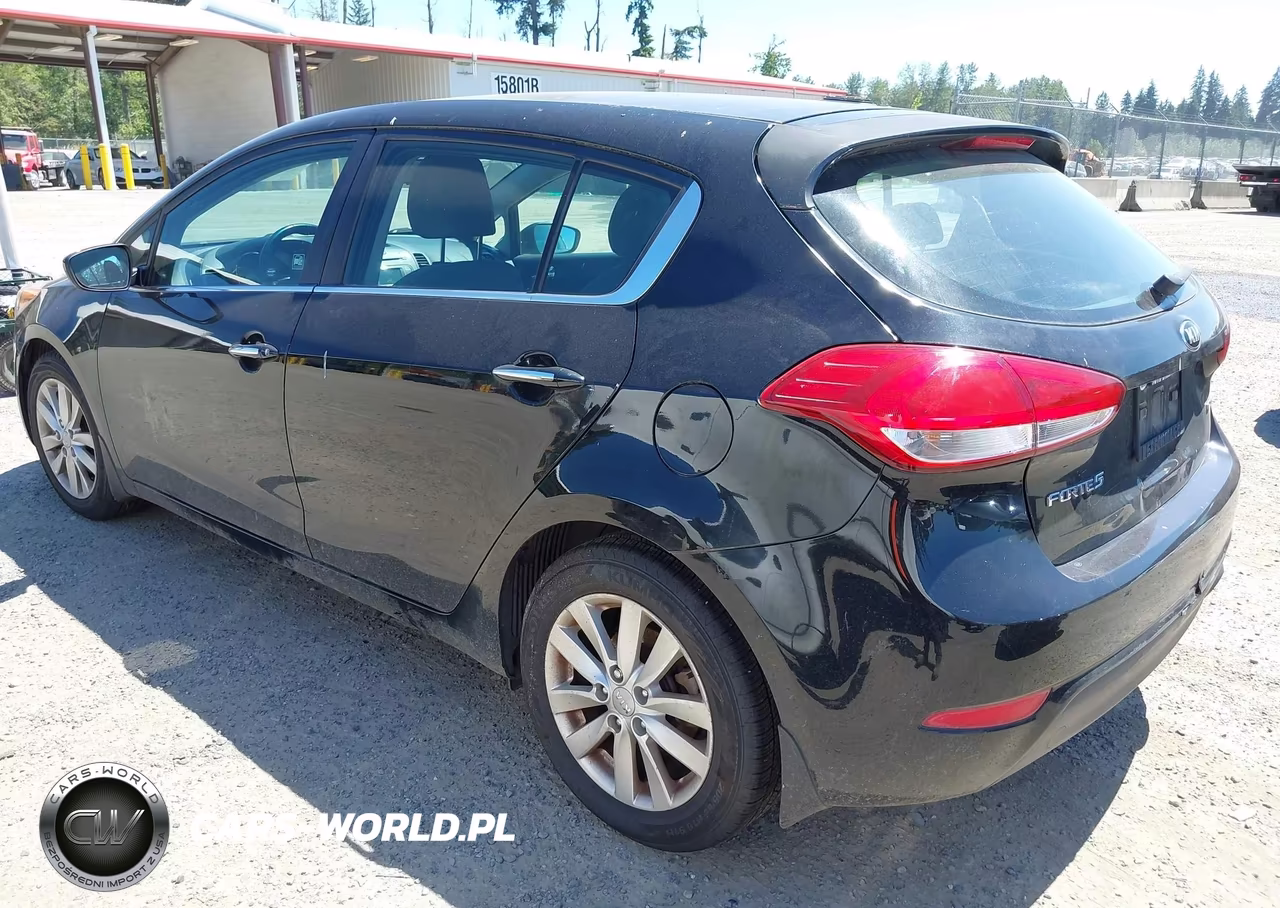 2015 Kia Forte Ex VIN:KNAFX5A8XF5300290 - 3