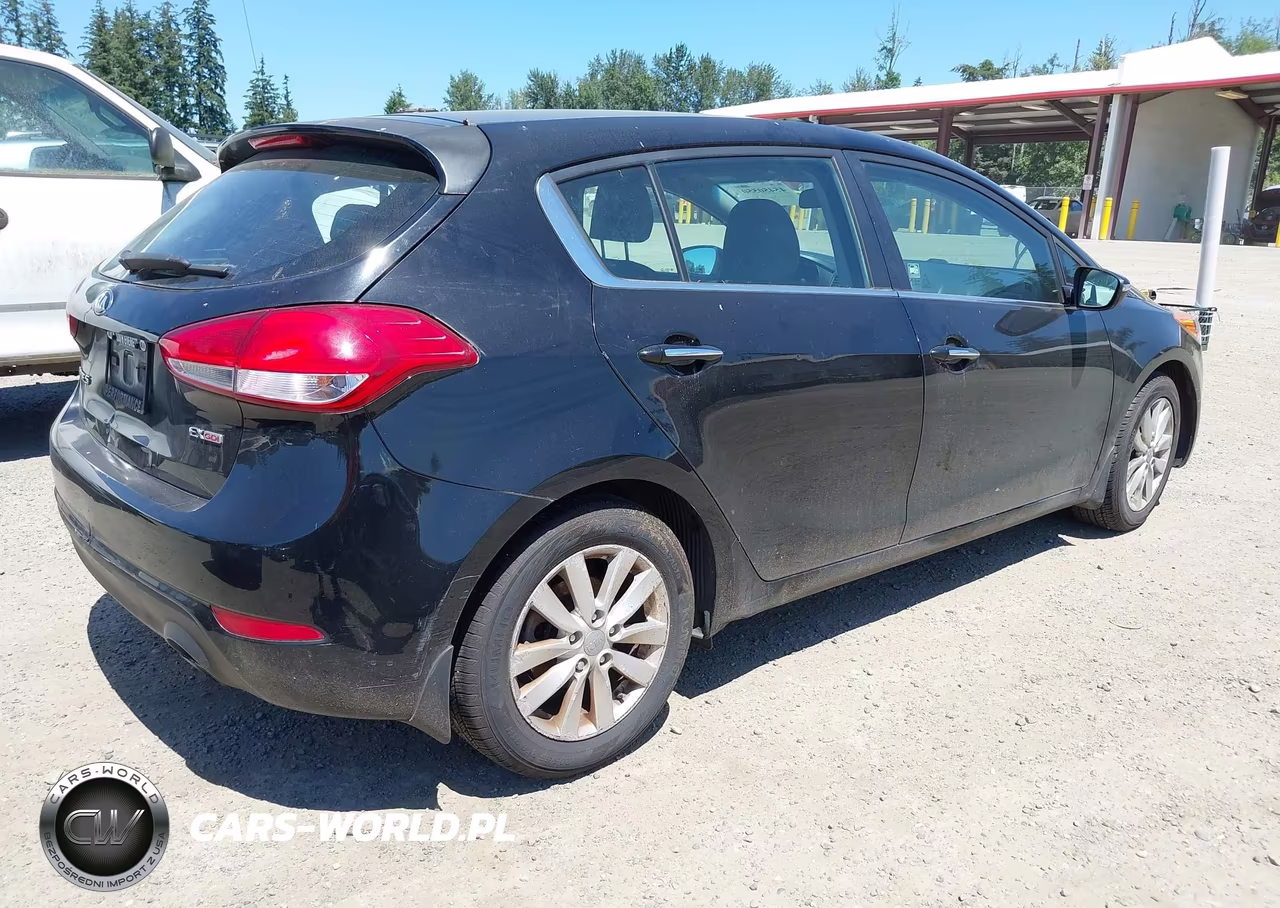 2015 Kia Forte Ex VIN:KNAFX5A8XF5300290 - 4