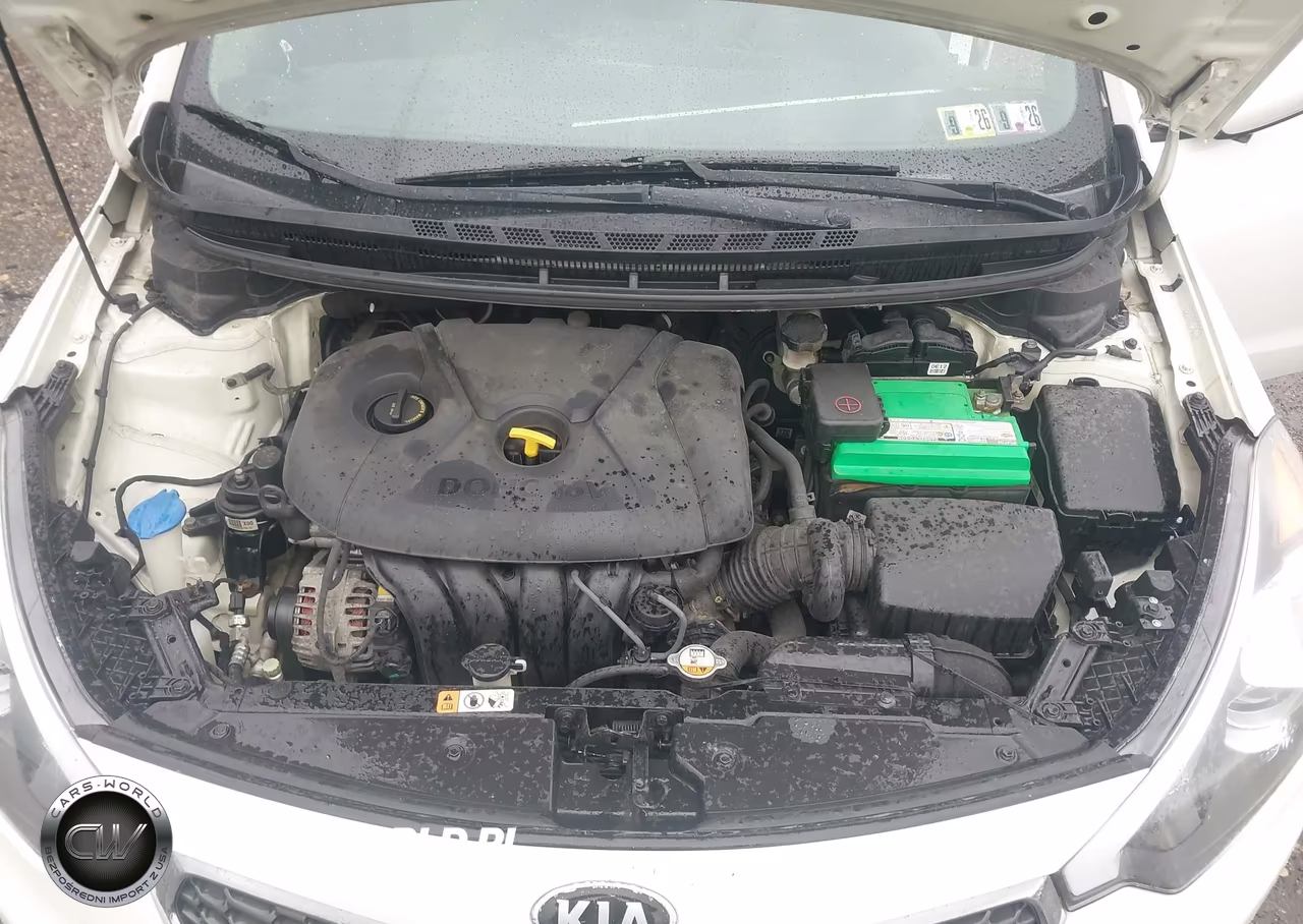 2015 Kia Forte Lx VIN:KNAFX4A66F5271279 - 10