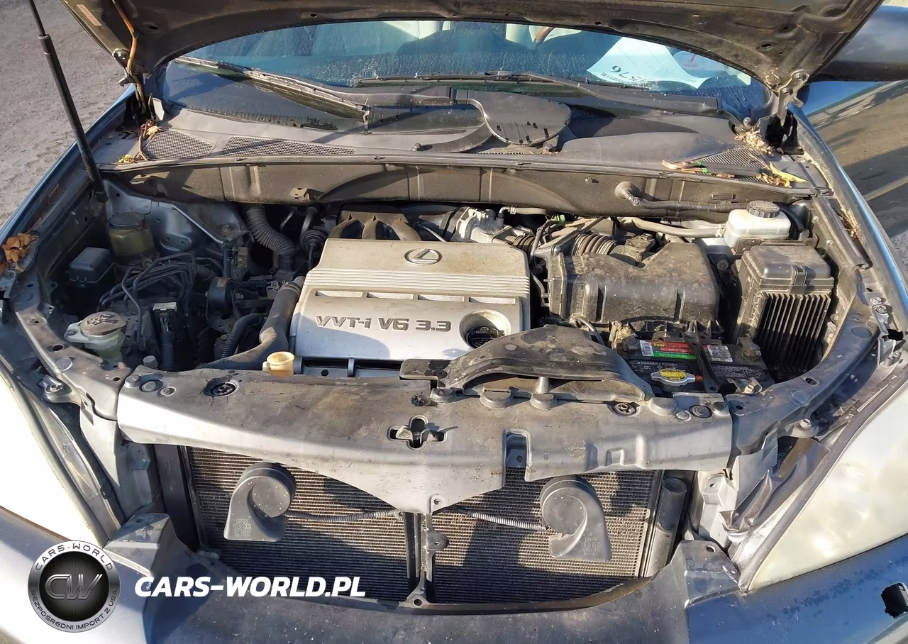 2004 Lexus Rx 330 VIN:JTJHA31U040011005 - 10