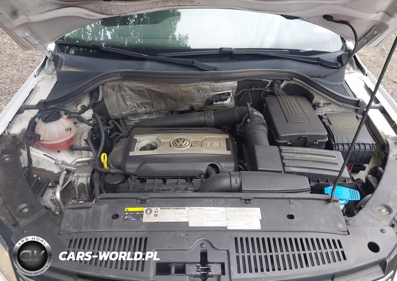 2017 Volkswagen Tiguan 2.0T Wolfsburg Edition VIN:WVGSV7AX0HK031372 - 10