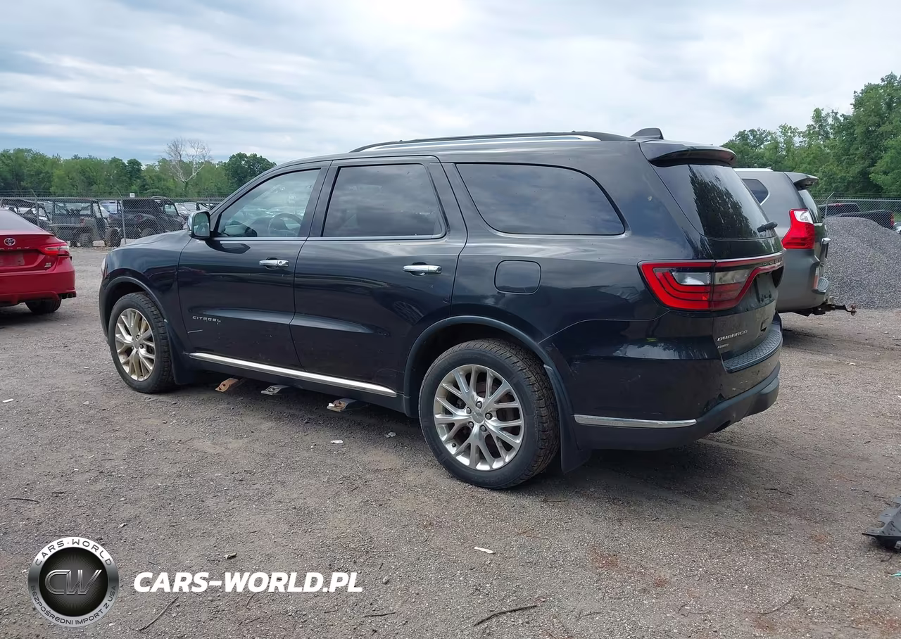 2014 Dodge Durango Citadel VIN:1C4RDJEGXEC301601 - 3