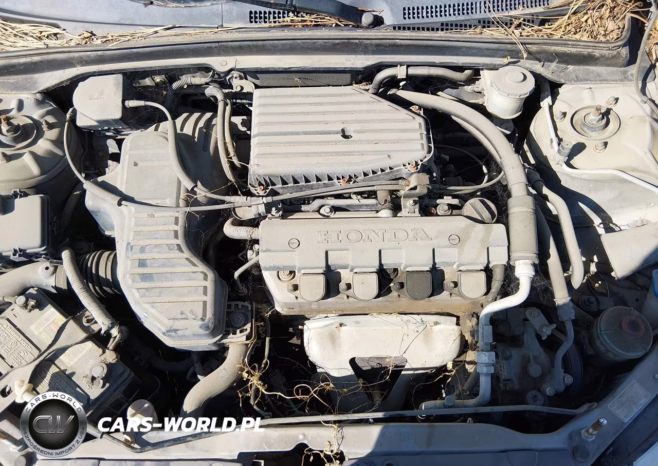 2003 Honda Civic Lx VIN:2HGES165X3H556911 - 10