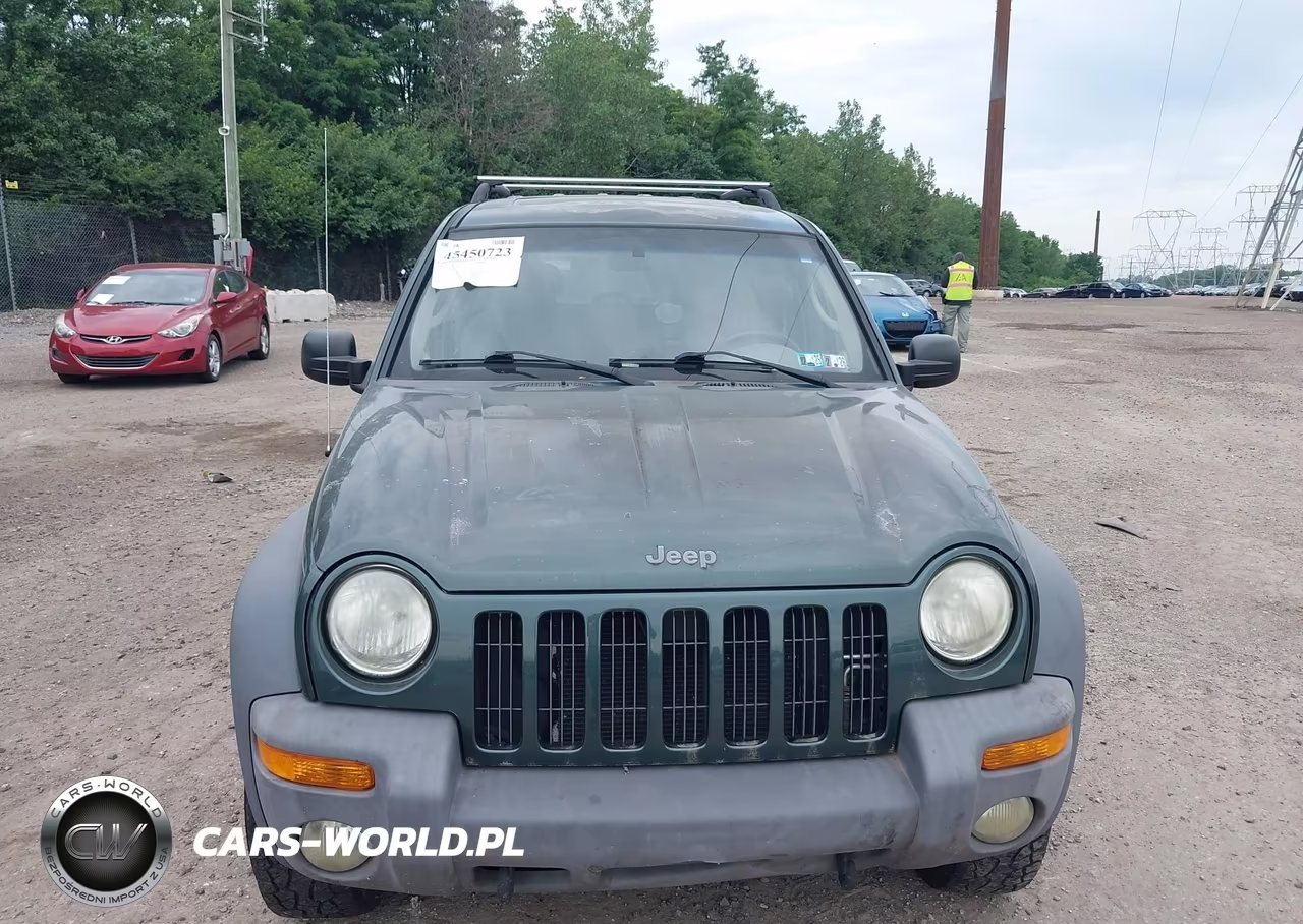 2002 Jeep Liberty Sport VIN:1J4GL48K92W197960 - 6