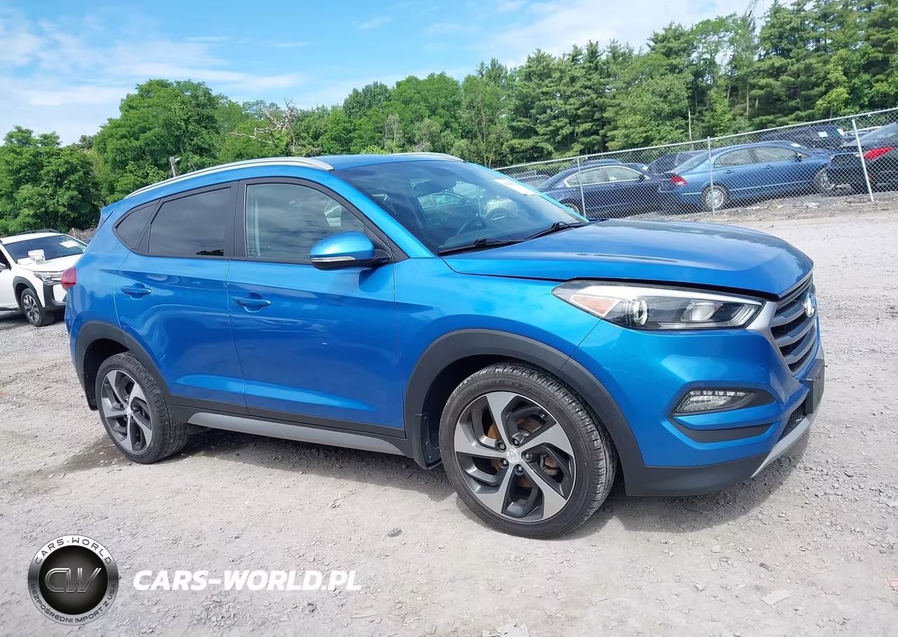 2017 Hyundai Tucson Sport VIN:KM8J3CA28HU334841 - 13