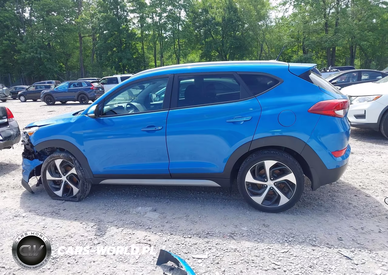 2017 Hyundai Tucson Sport VIN:KM8J3CA28HU334841 - 14
