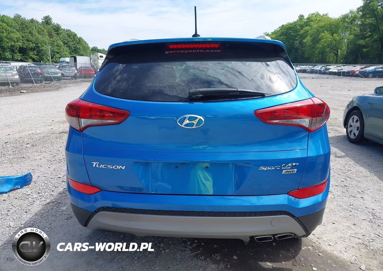 2017 Hyundai Tucson Sport VIN:KM8J3CA28HU334841 - 16