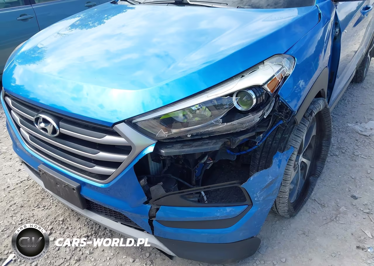 2017 Hyundai Tucson Sport VIN:KM8J3CA28HU334841 - 17