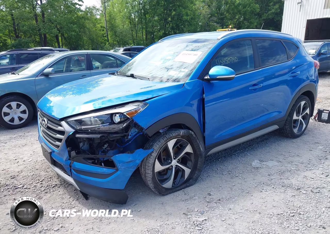 2017 Hyundai Tucson Sport VIN:KM8J3CA28HU334841 - 2