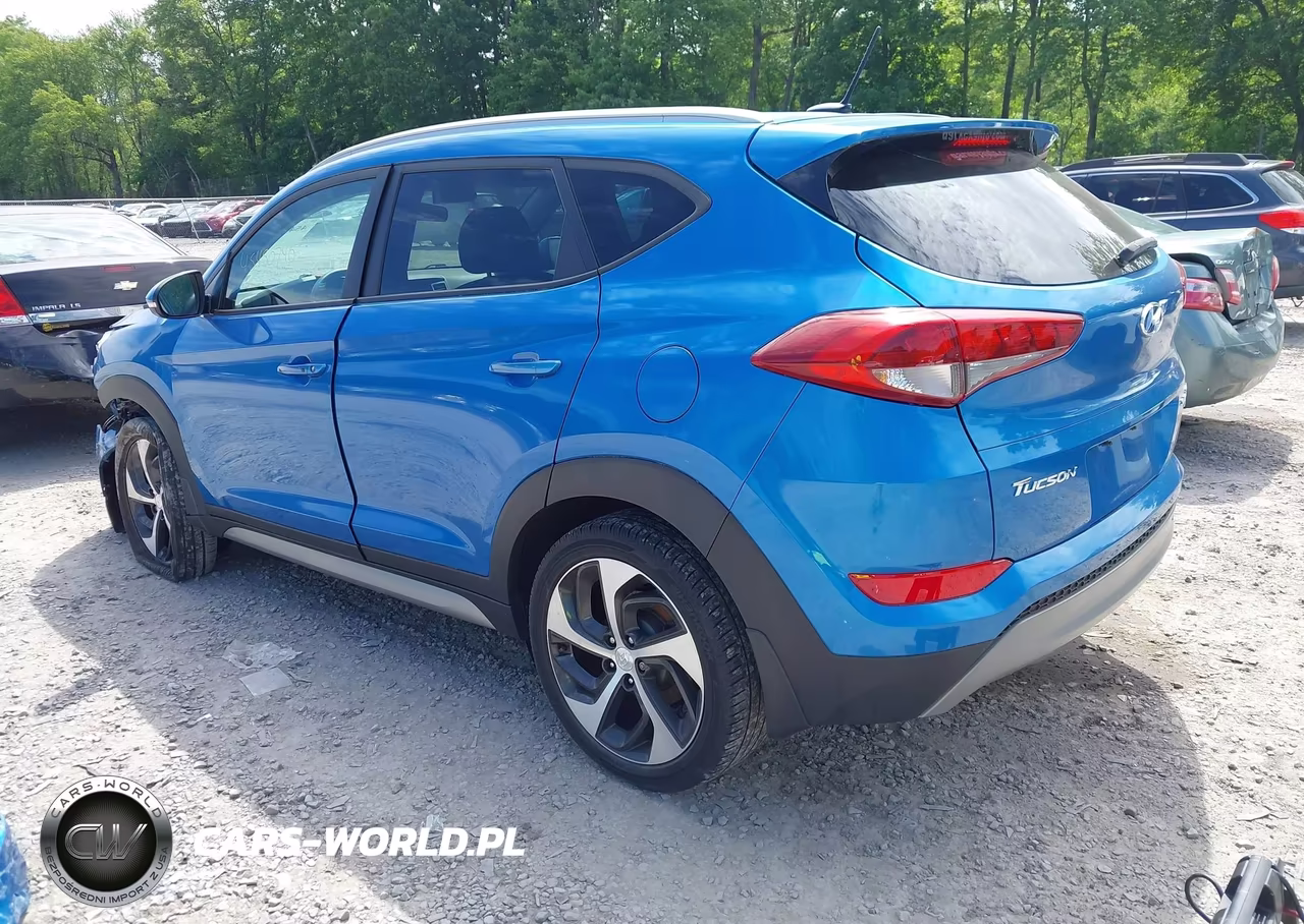 2017 Hyundai Tucson Sport VIN:KM8J3CA28HU334841 - 3