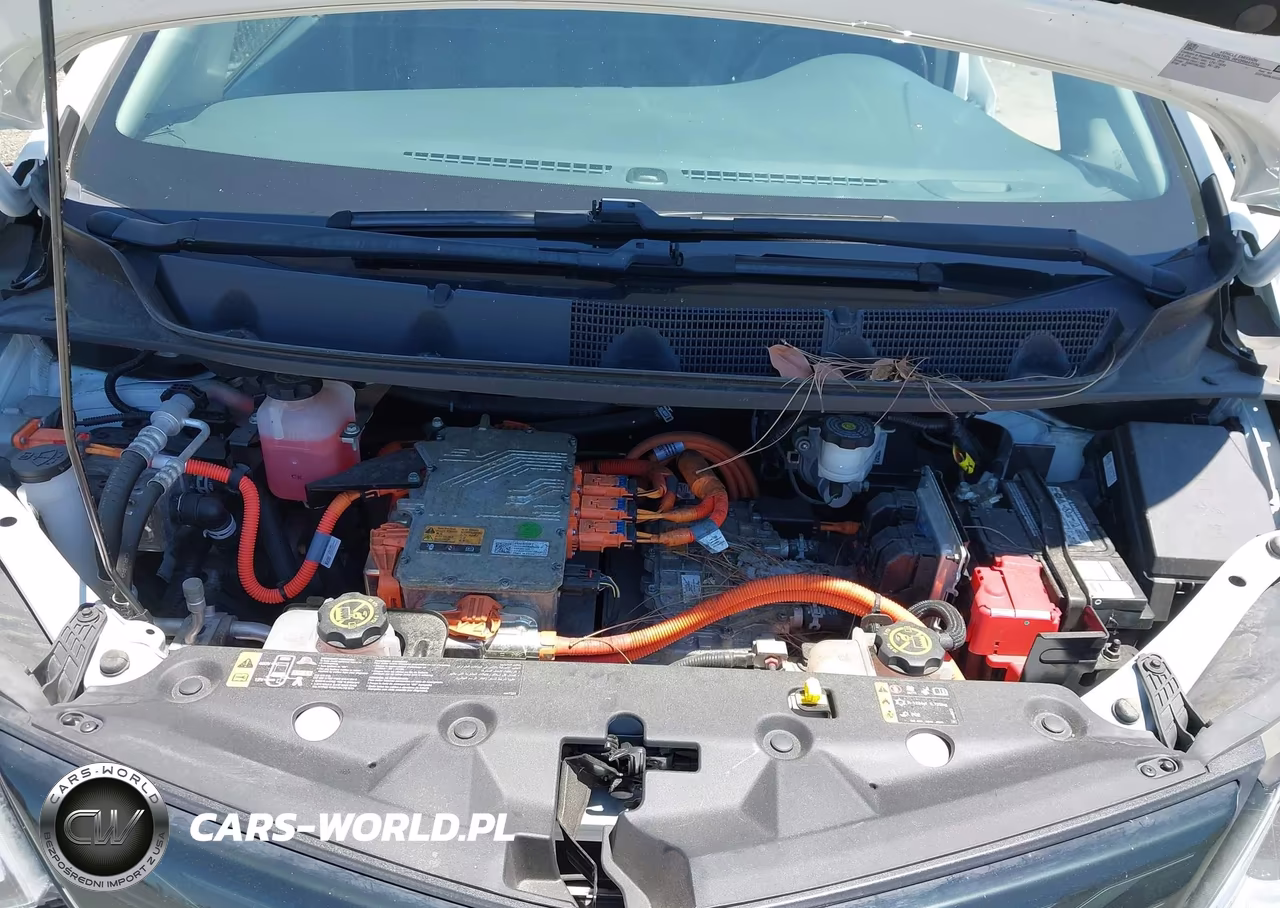 2018 Chevrolet Bolt Ev Premier VIN:1G1FX6S06J4141048 - 10