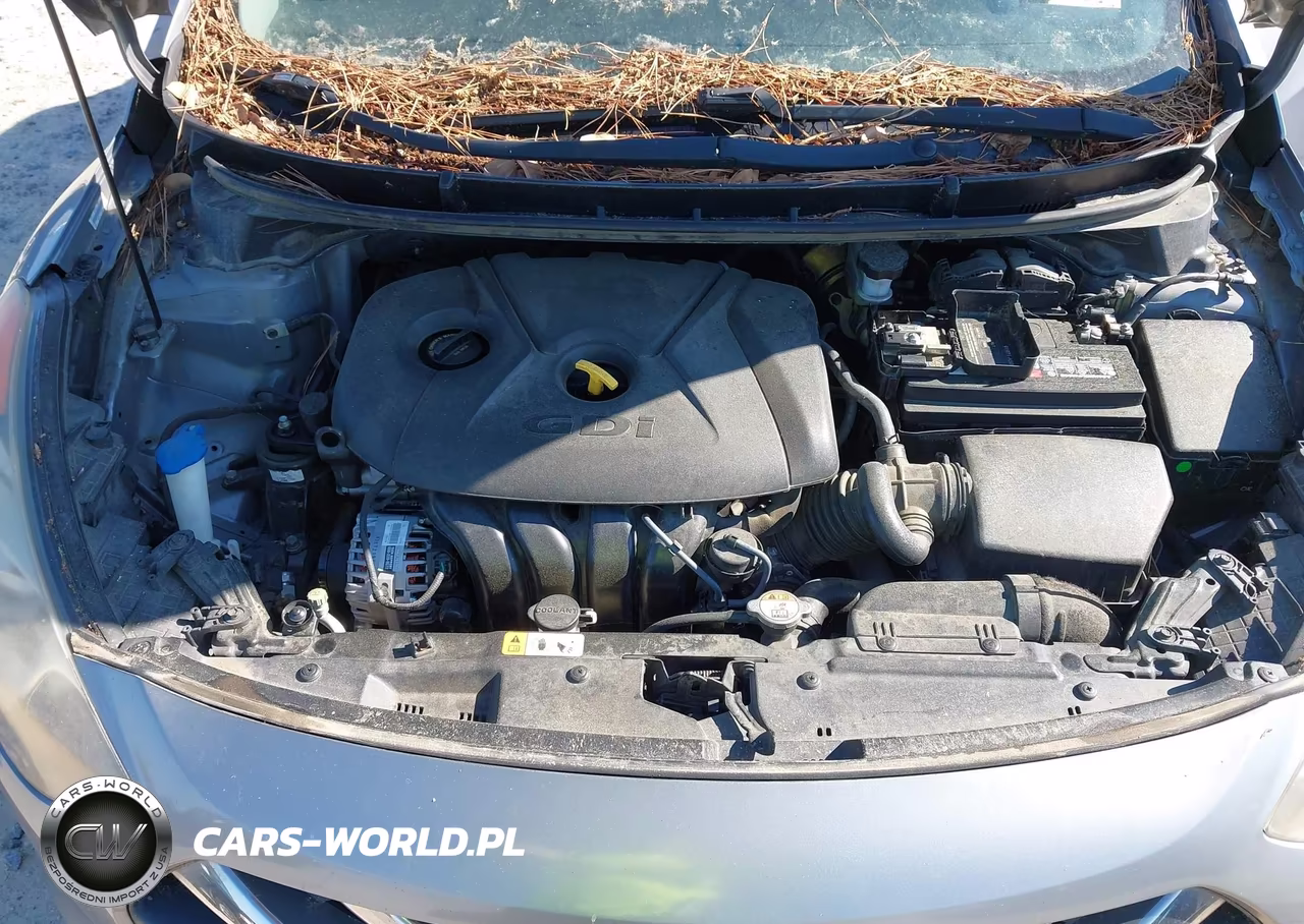 2014 Hyundai Elantra Gt VIN:KMHD35LH3EU167018 - 10