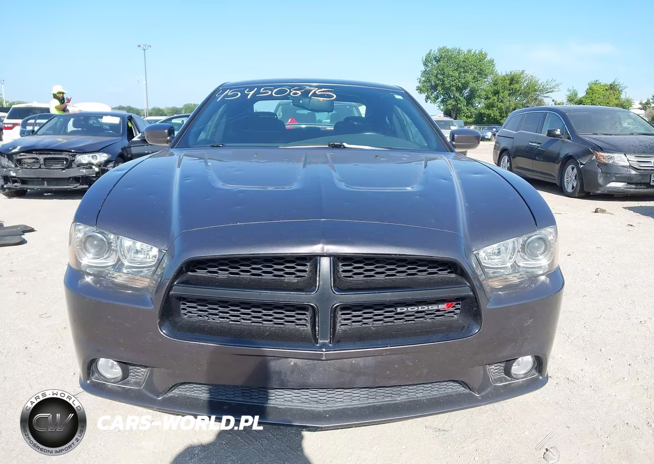 2014 Dodge Charger R-T VIN:2C3CDXDT1EH203548 - 12
