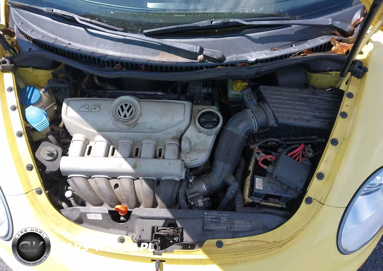 2008 Volkswagen New Beetle S VIN:3VWPW31C48M501079 - 10