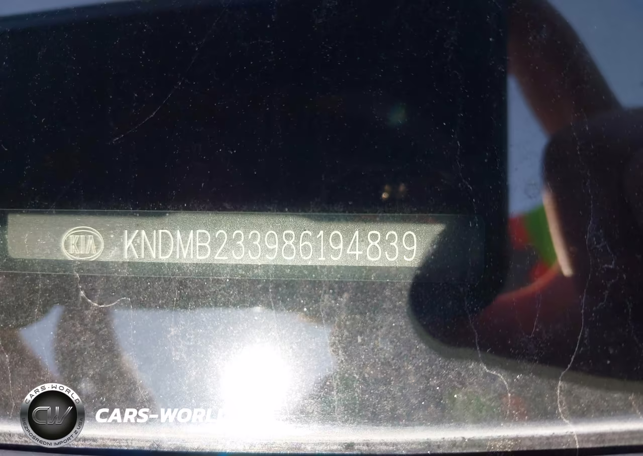 2008 Kia Sedona Ex VIN:KNDMB233986194839 - 9