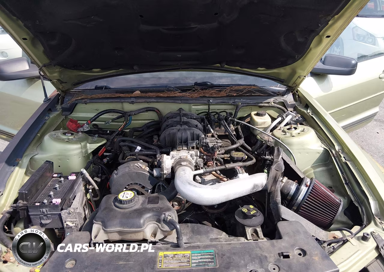 2006 Ford Mustang V6 VIN:1ZVFT84N665265777 - 10