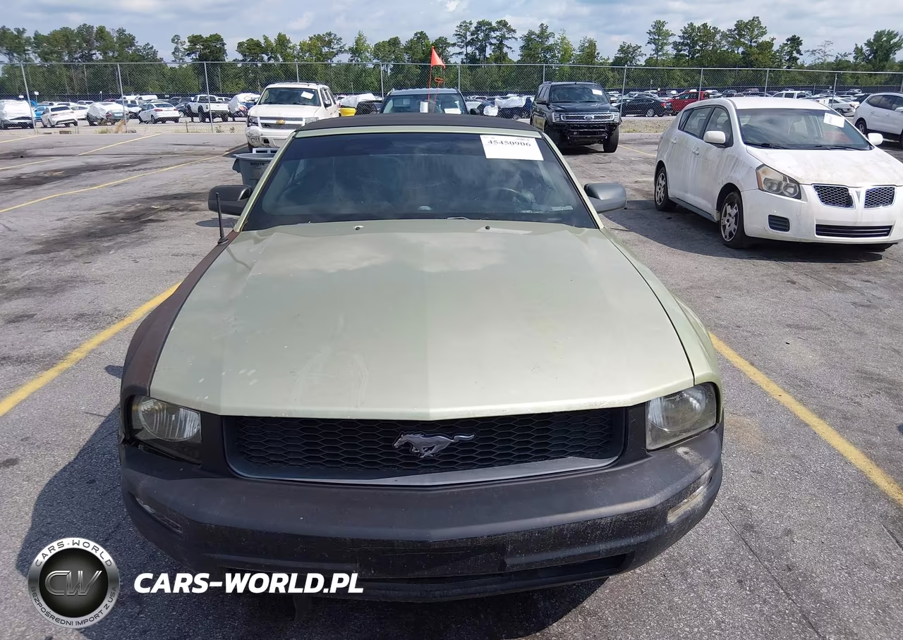 2006 Ford Mustang V6 VIN:1ZVFT84N665265777 - 6