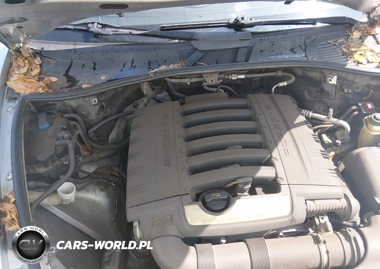 2009 Porsche Cayenne VIN:WP1AA29PX9LA01745 - 10