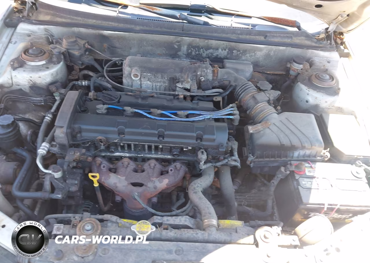 2004 Hyundai Elantra Gt VIN:KMHDN56D34U121447 - 10