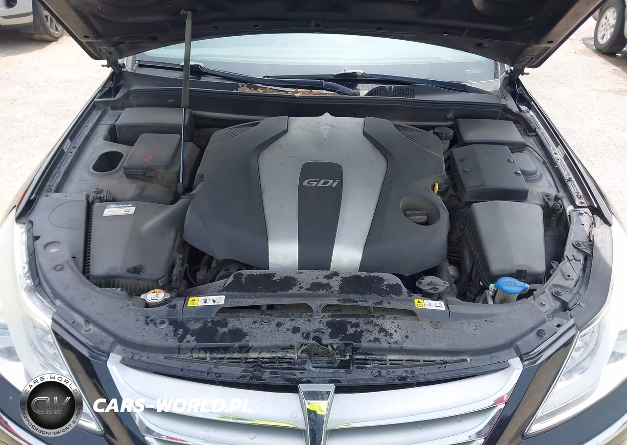2013 Hyundai Genesis 3.8 VIN:KMHGC4DD2DU229414 - 10