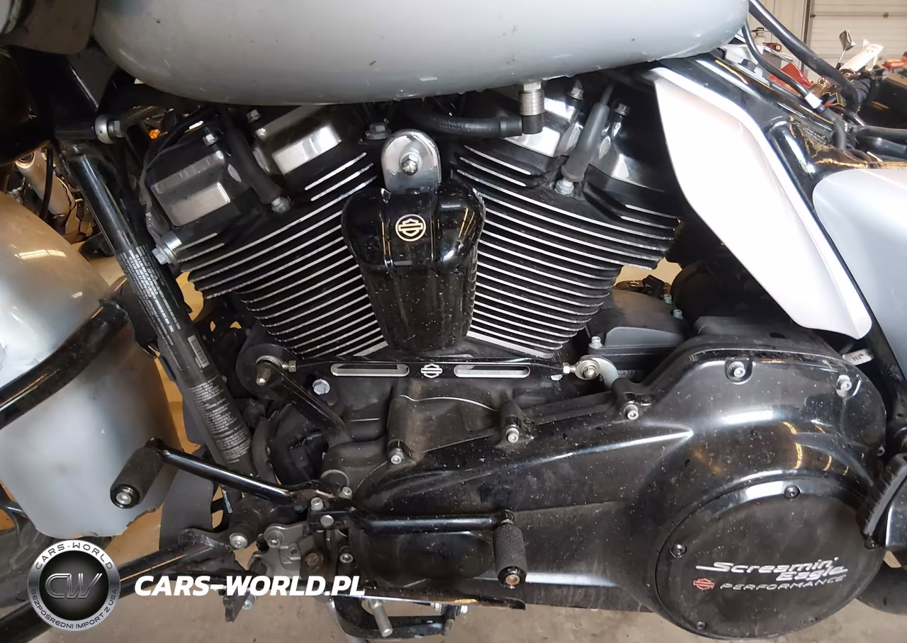 2023 Harley-Davidson Fltrxs VIN:1HD1KTP16PB603997 - 9