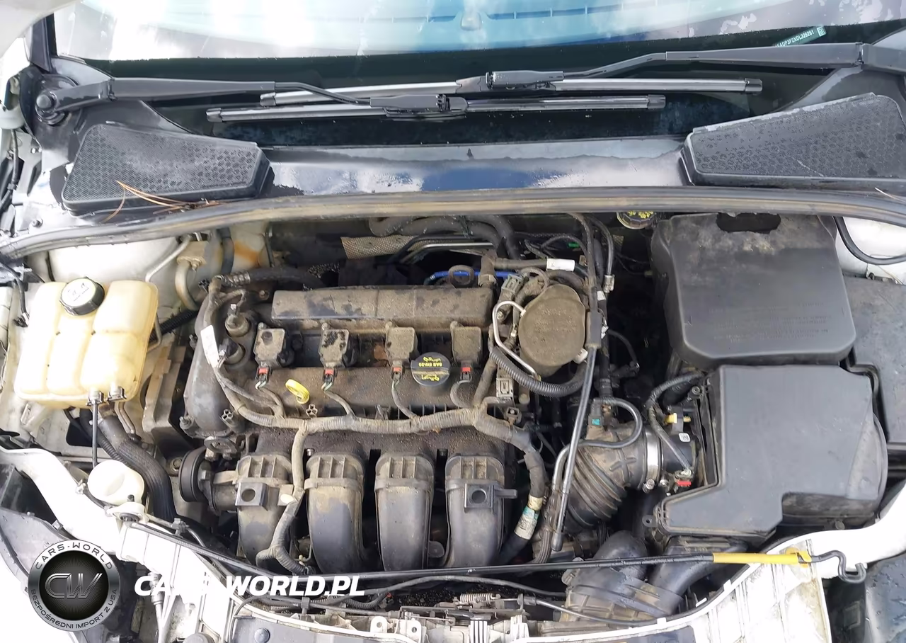 2013 Ford Focus Se VIN:1FADP3F2XDL326261 - 10