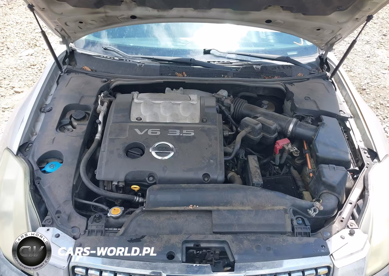 2005 Nissan Maxima 3.5 Sl VIN:1N4BA41E95C854763 - 10
