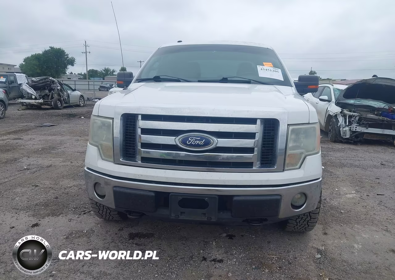 2010 Ford F-150 Fx4-Harley-Davidson-King Ranch-Lariat-Platinum-Xl-Xlt VIN:1FTFW1EV4AKB57698 - 12