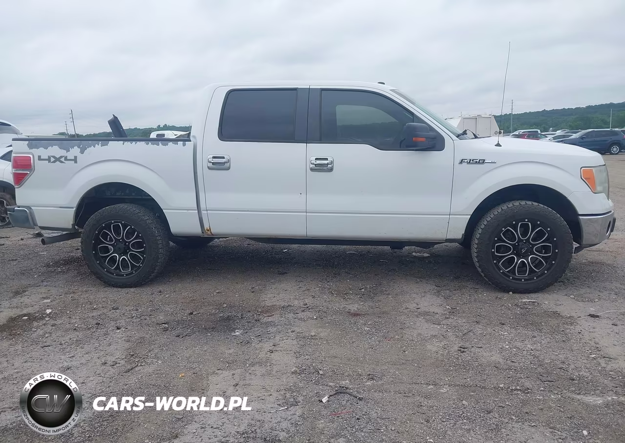 2010 Ford F-150 Fx4-Harley-Davidson-King Ranch-Lariat-Platinum-Xl-Xlt VIN:1FTFW1EV4AKB57698 - 13