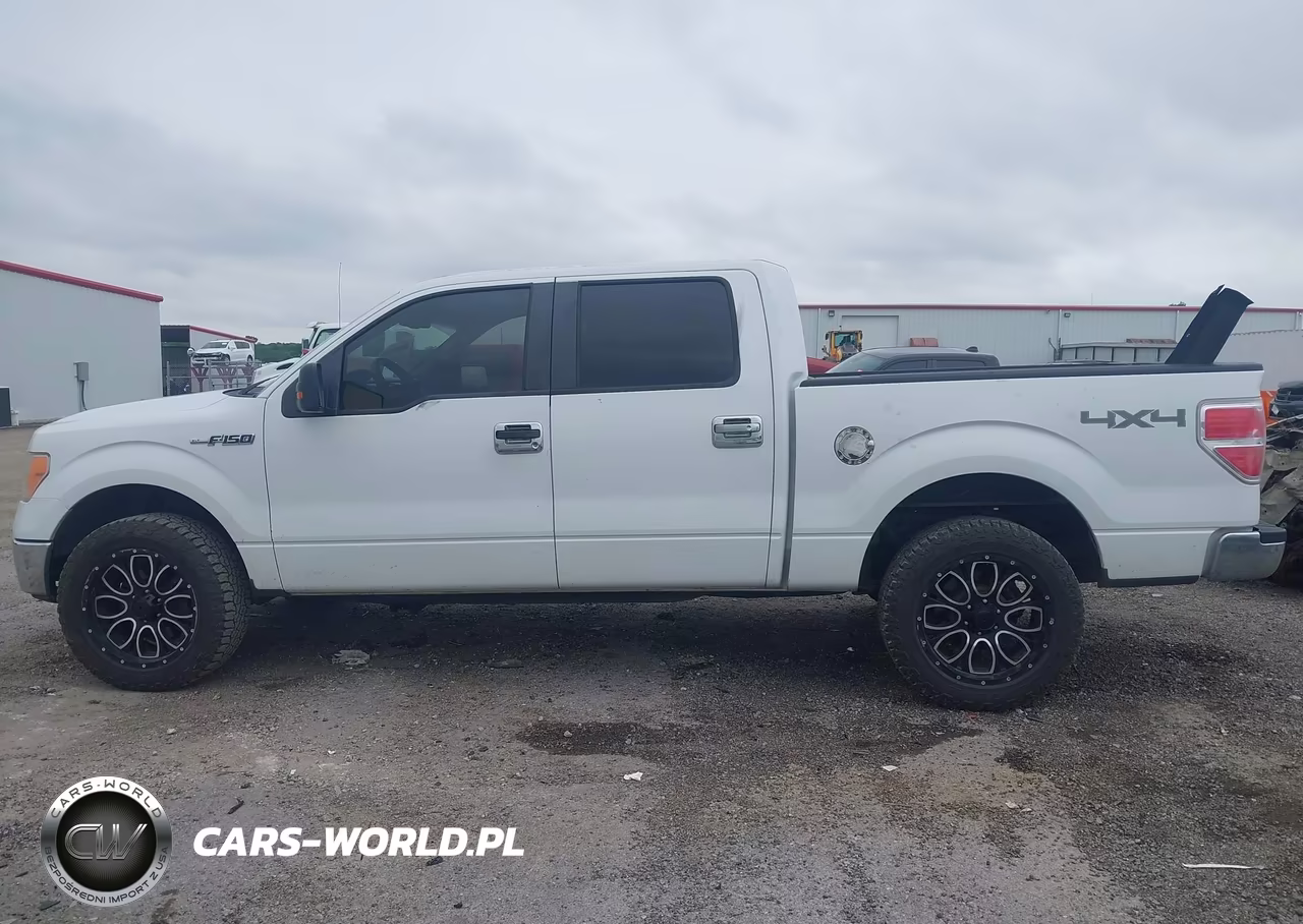 2010 Ford F-150 Fx4-Harley-Davidson-King Ranch-Lariat-Platinum-Xl-Xlt VIN:1FTFW1EV4AKB57698 - 14