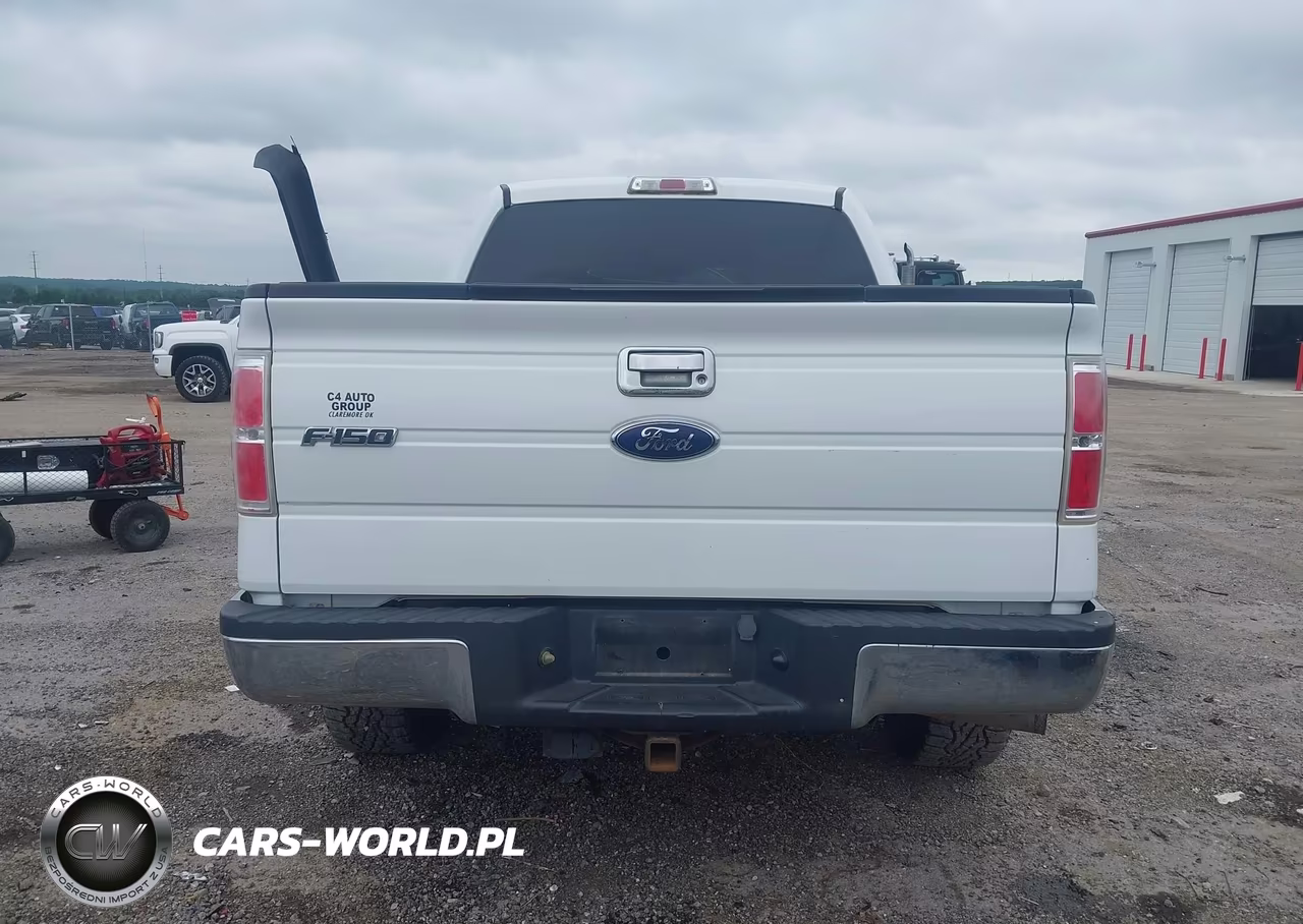 2010 Ford F-150 Fx4-Harley-Davidson-King Ranch-Lariat-Platinum-Xl-Xlt VIN:1FTFW1EV4AKB57698 - 16