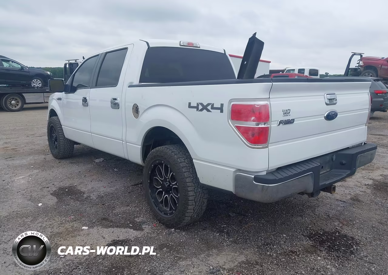 2010 Ford F-150 Fx4-Harley-Davidson-King Ranch-Lariat-Platinum-Xl-Xlt VIN:1FTFW1EV4AKB57698 - 3