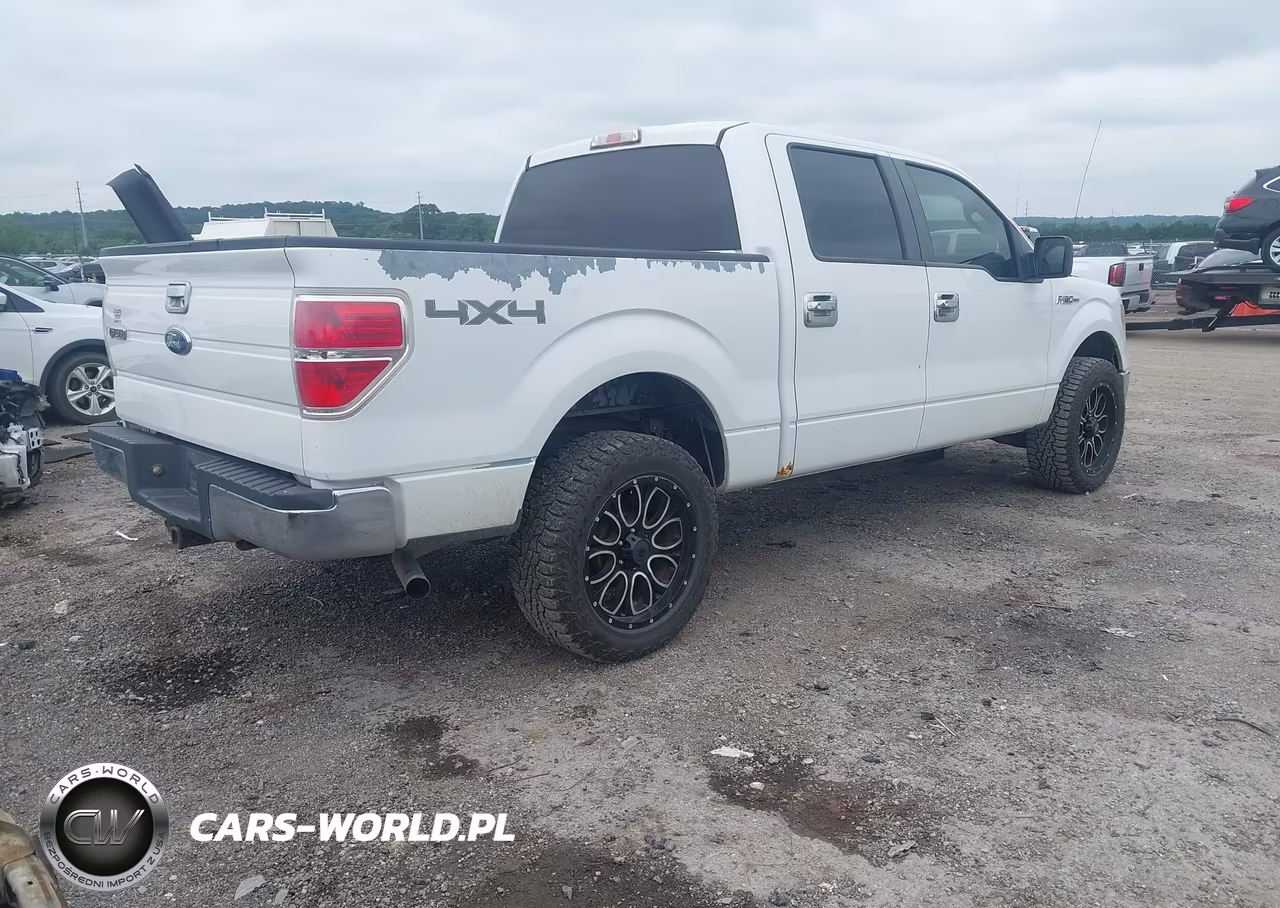2010 Ford F-150 Fx4-Harley-Davidson-King Ranch-Lariat-Platinum-Xl-Xlt VIN:1FTFW1EV4AKB57698 - 4