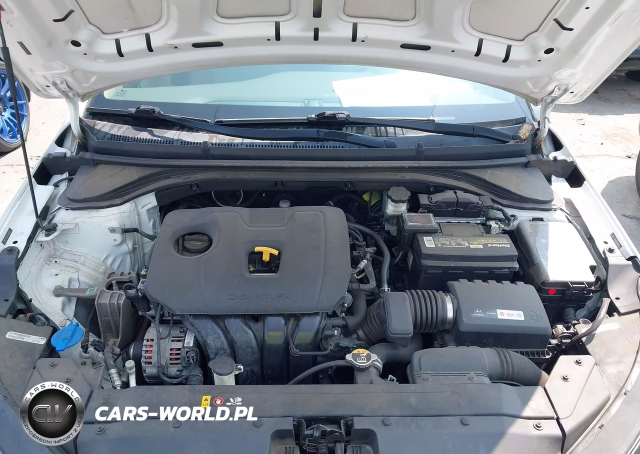 2019 Hyundai Elantra Se VIN:5NPD74LF5KH482006 - 10