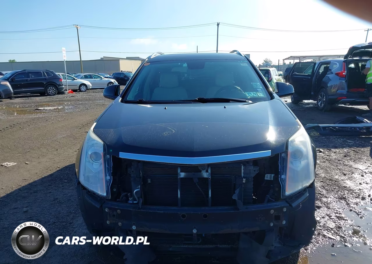 2010 Cadillac Srx Premium Collection VIN:3GYFNFEY6AS549137 - 12