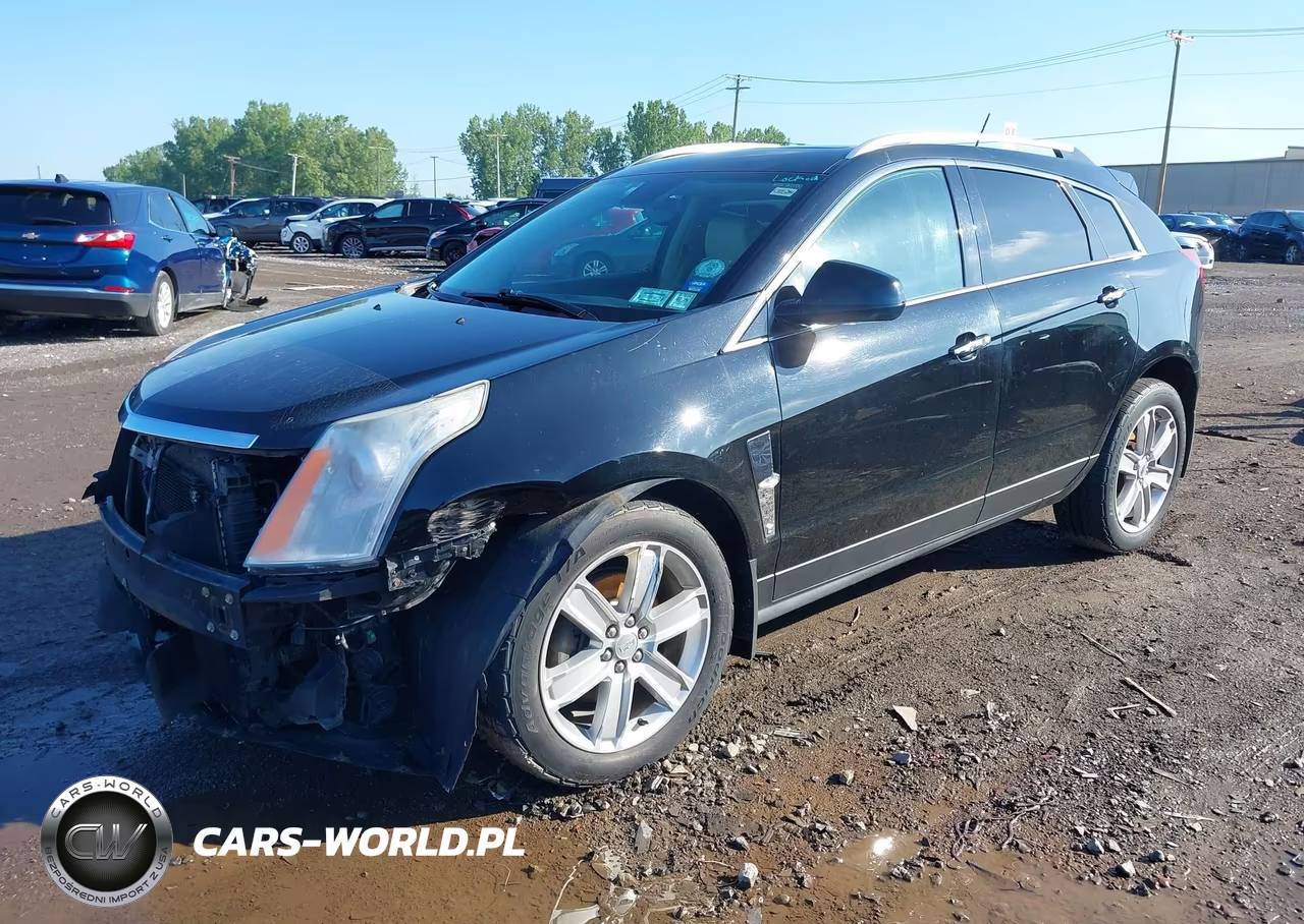 2010 Cadillac Srx Premium Collection VIN:3GYFNFEY6AS549137 - 2