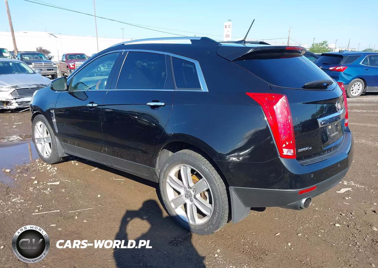 2010 Cadillac Srx Premium Collection VIN:3GYFNFEY6AS549137 - 3