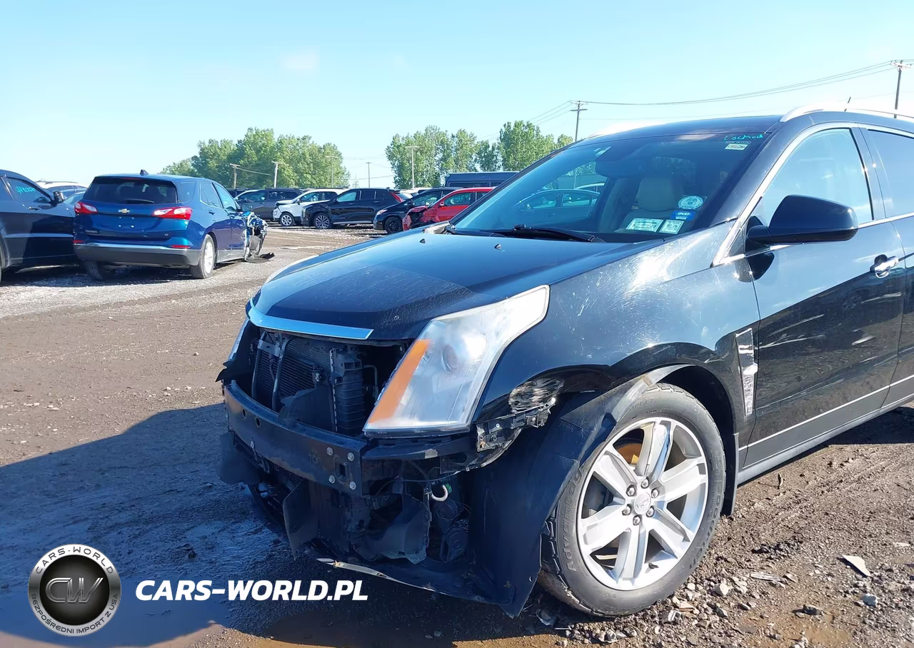 2010 Cadillac Srx Premium Collection VIN:3GYFNFEY6AS549137 - 6