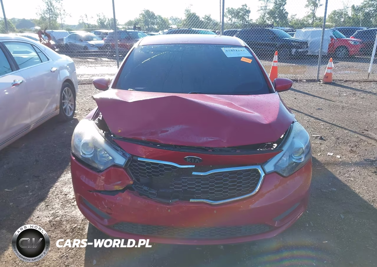 2016 Kia Forte Lx VIN:KNAFK4A62G5567979 - 12