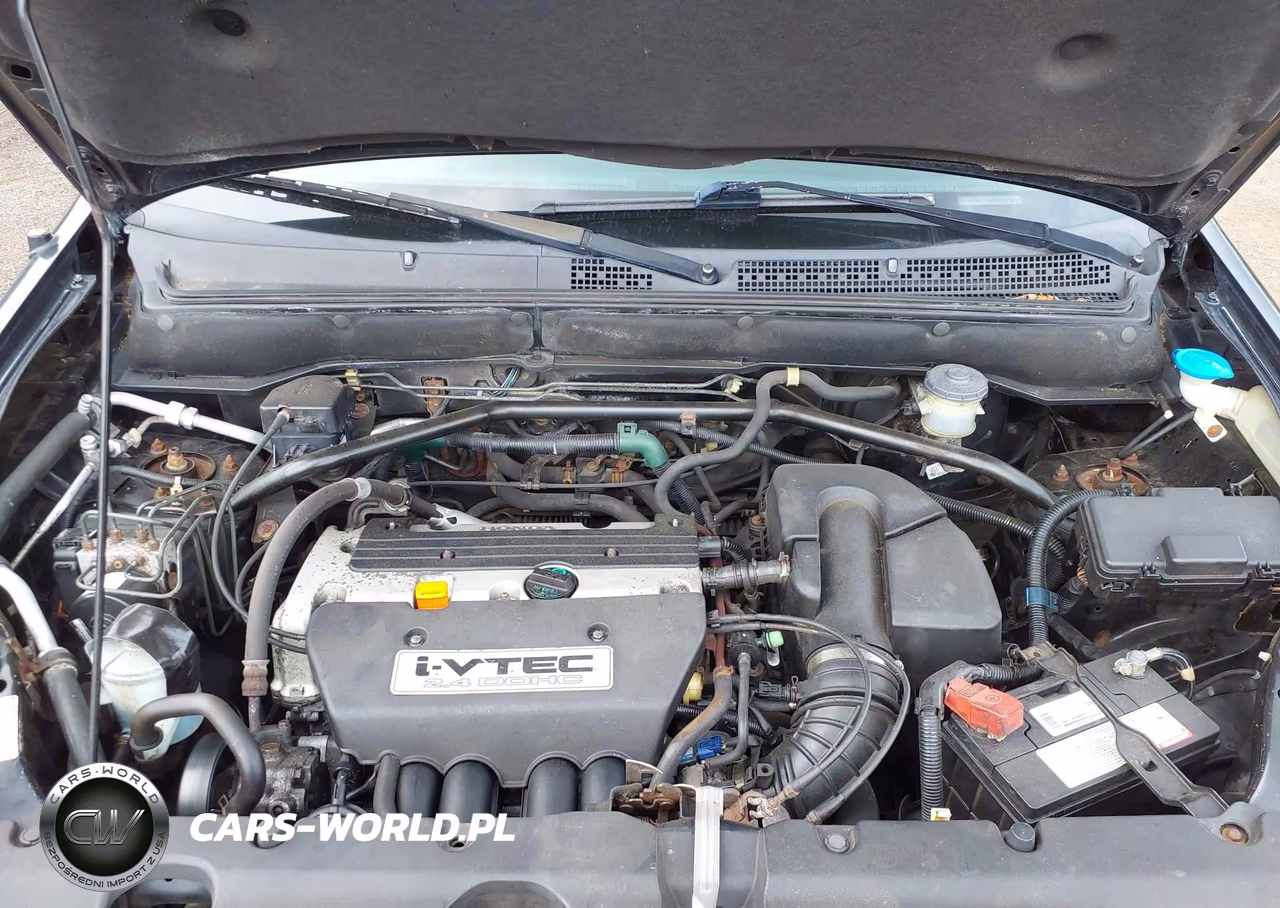 2004 Honda Cr-V Ex VIN:SHSRD78814U201338 - 10
