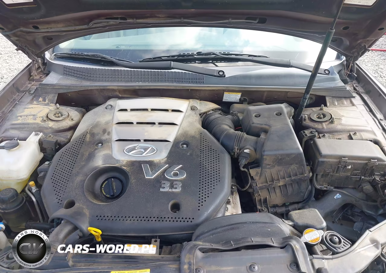 2006 Hyundai Sonata Gls V6-Lx V6 VIN:5NPEU46F06H039986 - 10