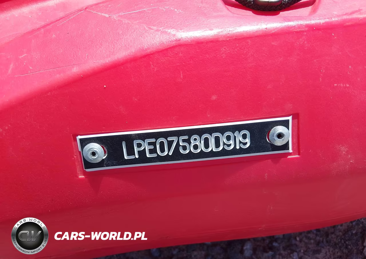 2019 Other Other VIN:LPE07580D919 - 9