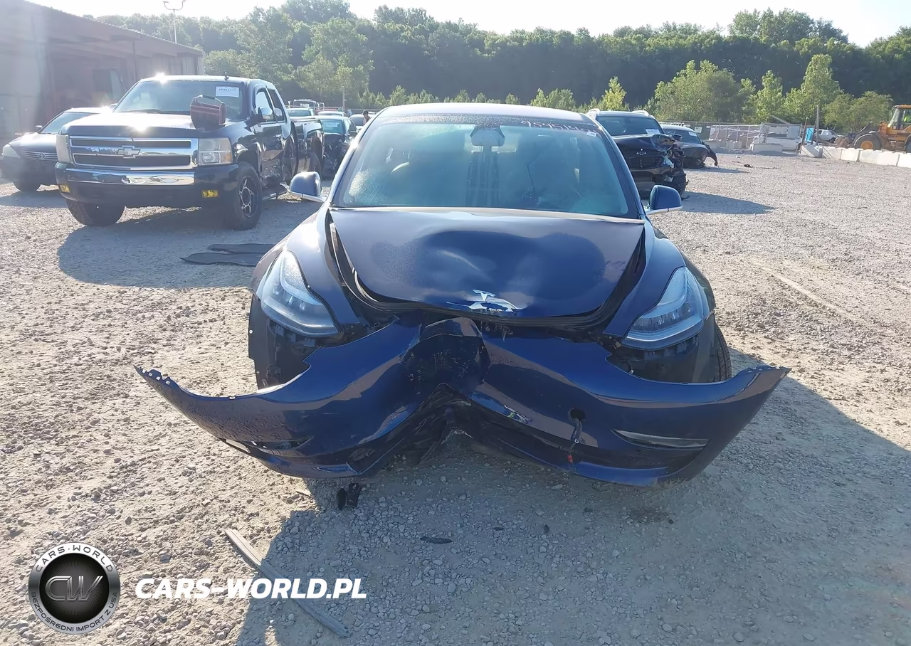 2017 Tesla Model 3 Long Range-Standard VIN:5YJ3E1EA1HF001029 - 12