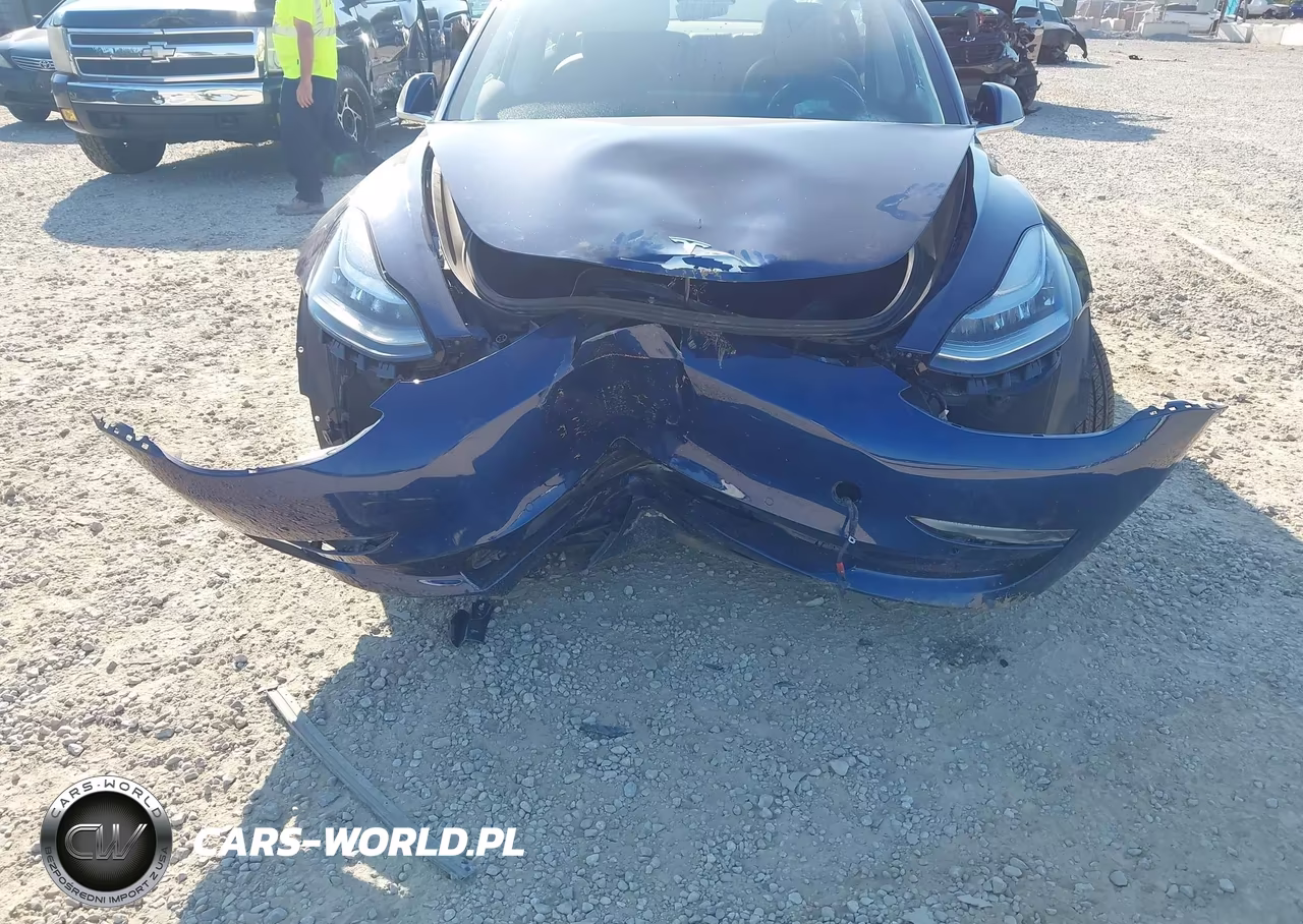 2017 Tesla Model 3 Long Range-Standard VIN:5YJ3E1EA1HF001029 - 6