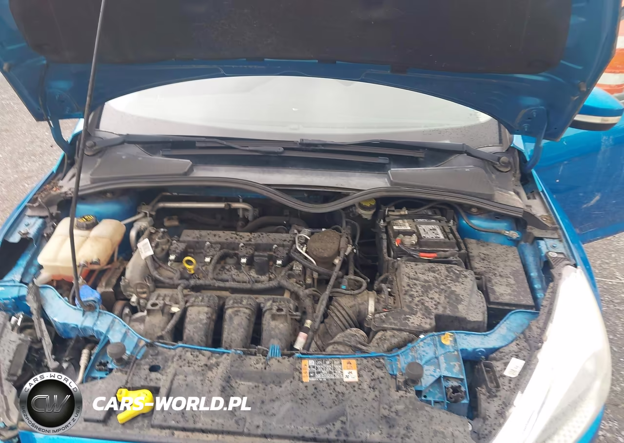 2015 Ford Focus Se VIN:1FADP3F23FL286883 - 10