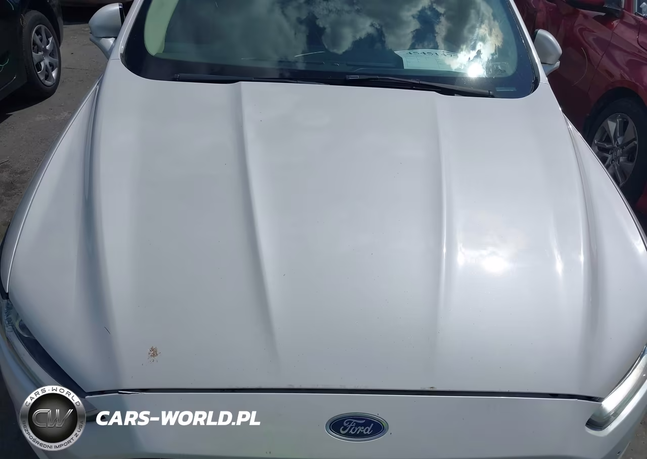 2013 Ford Fusion Hybrid Se VIN:3FA6P0LU2DR191081 - 10