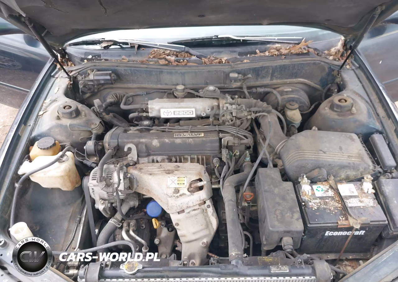 1994 Toyota Camry Le VIN:4T1SK12E4RU356583 - 10